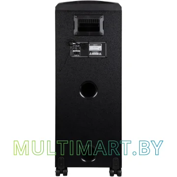 Колонка для вечеринок DENN Constellation DPS455 картинка 5
